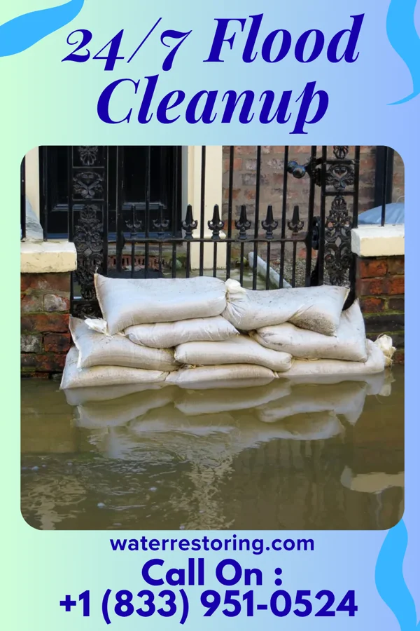 24/7 Flood Cleanup in China Grove, TX