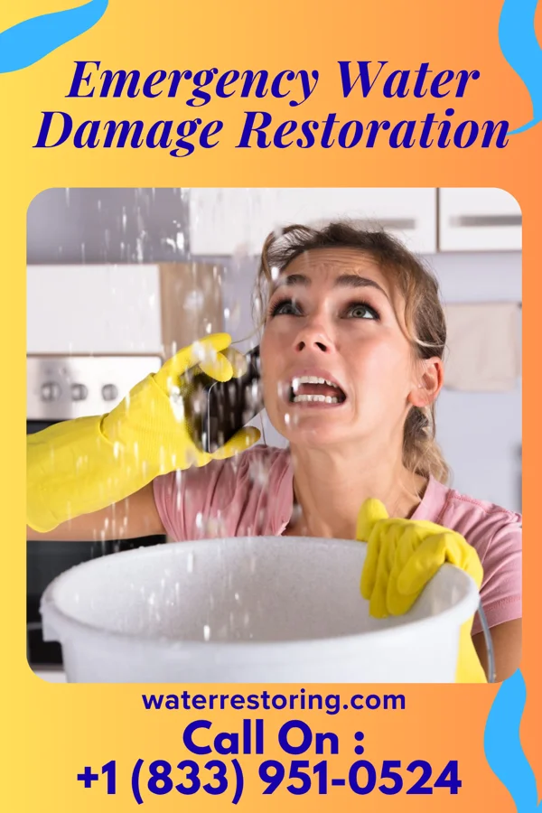 Emergency Water Damage Restoration in China Grove, TX