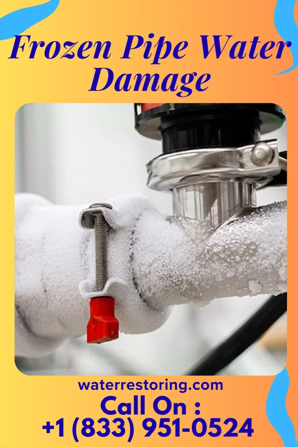 Frozen Pipe Water Damage in China Grove, TX